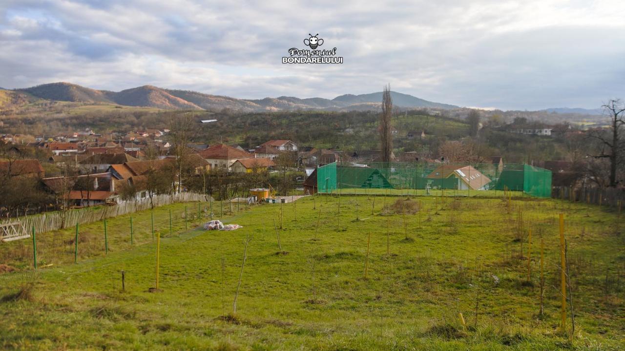 Отель Domeniul Bondarelului Ocolisu Mic Экстерьер фото