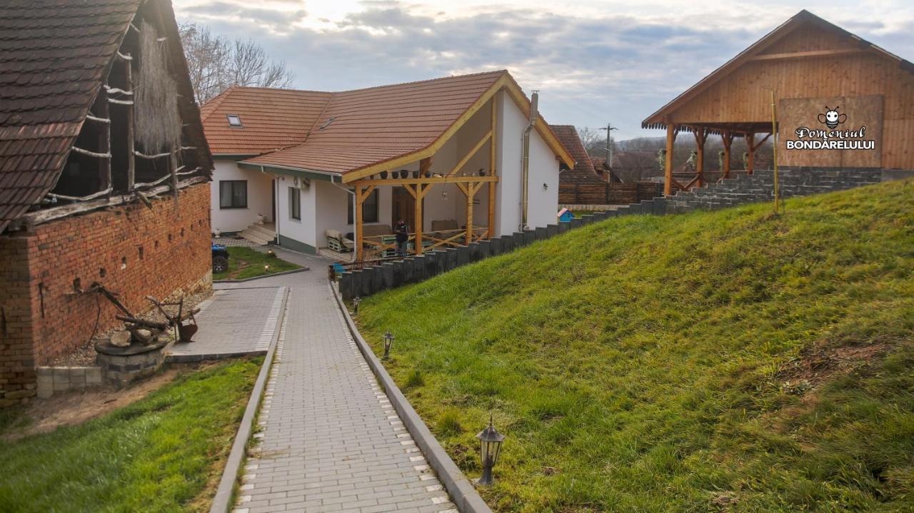 Отель Domeniul Bondarelului Ocolisu Mic Экстерьер фото